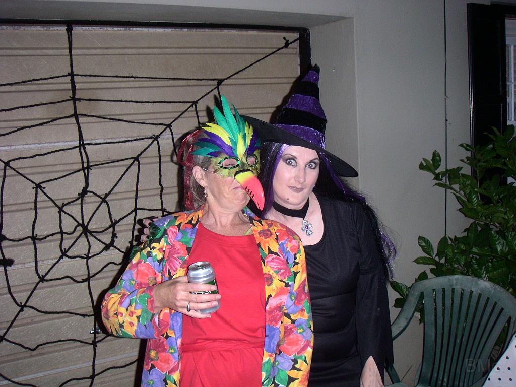 PICT1594.JPG - MINOLTA DIGITAL CAMERA         