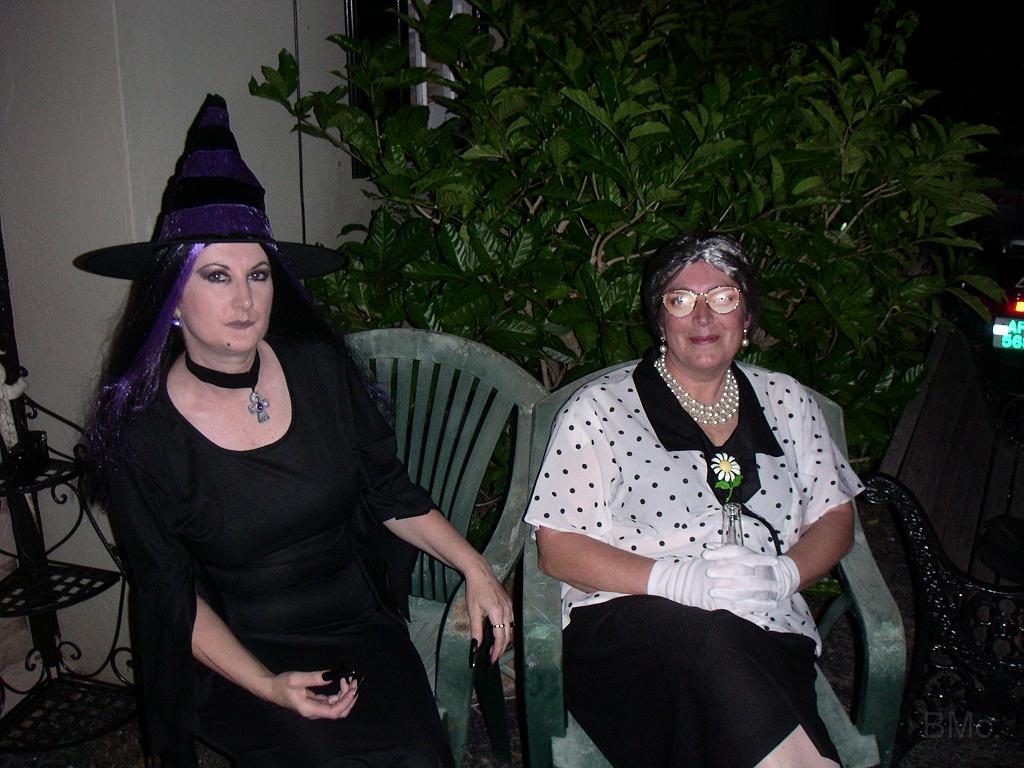 PICT1595.JPG - MINOLTA DIGITAL CAMERA         