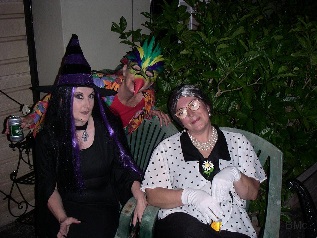 PICT1596.JPG - MINOLTA DIGITAL CAMERA         