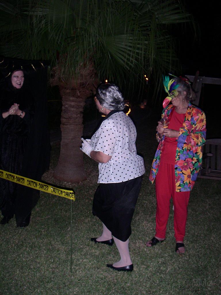 PICT1654.JPG - MINOLTA DIGITAL CAMERA         