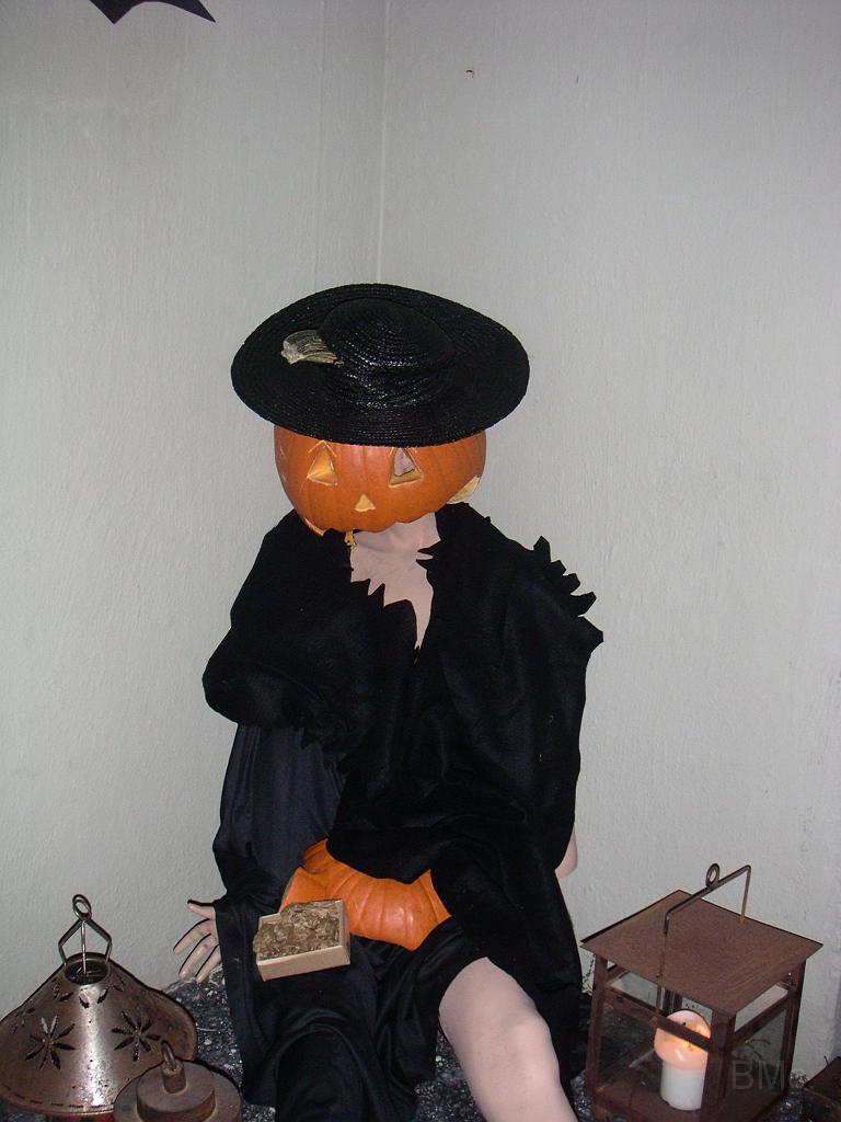 PICT1656.JPG - MINOLTA DIGITAL CAMERA         