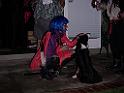PICT2260