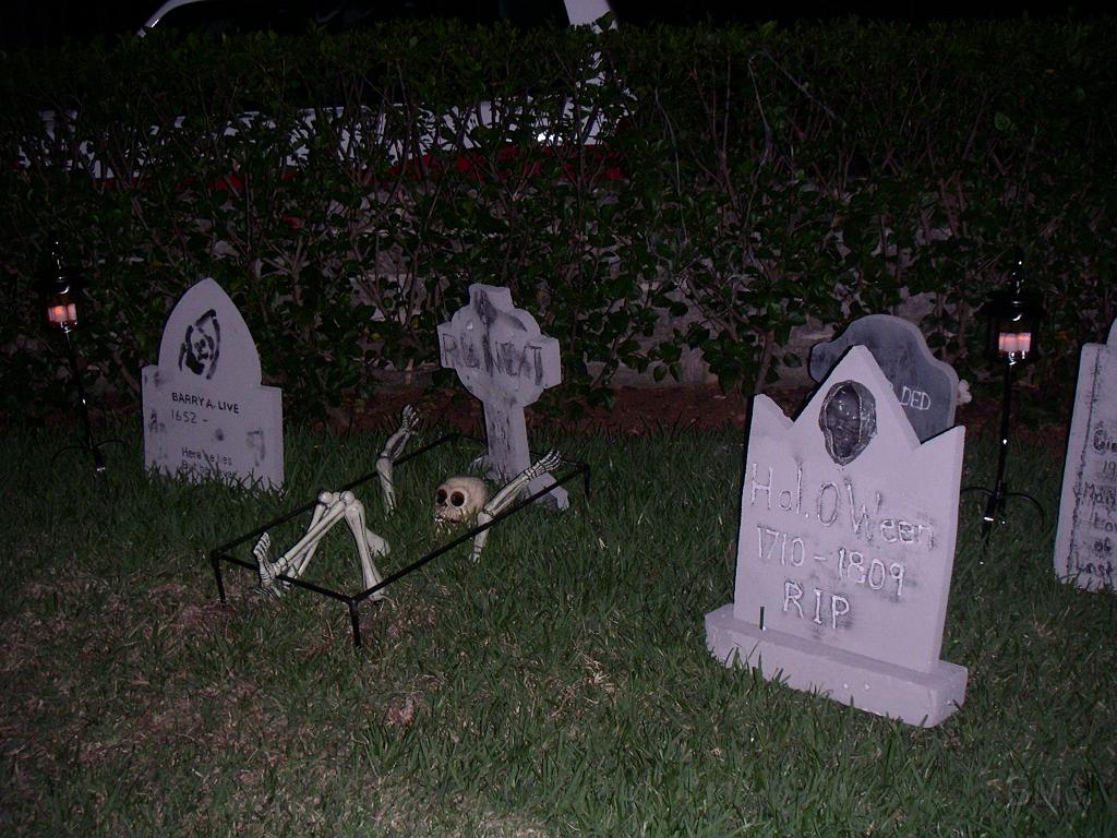 PICT2646.JPG - MINOLTA DIGITAL CAMERA         
