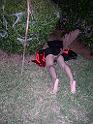 PICT2650