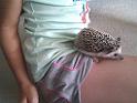 IMG_20100705_183109