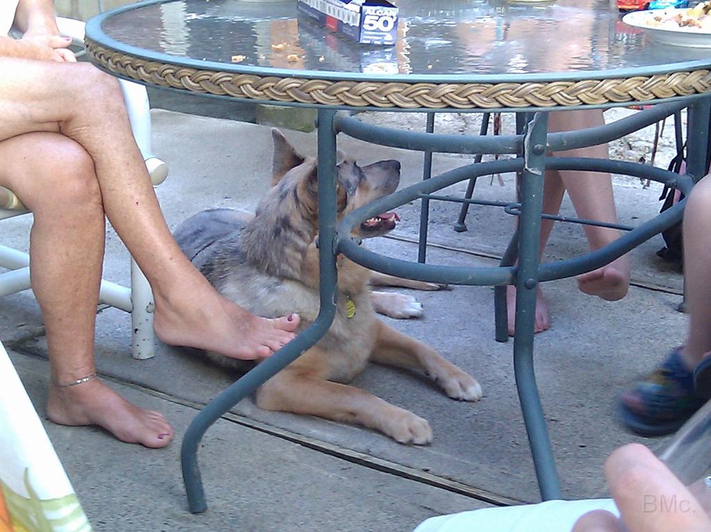 IMG_20100723_195129.jpg