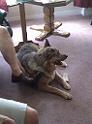 IMG_20100723_170837