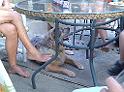 IMG_20100723_195129