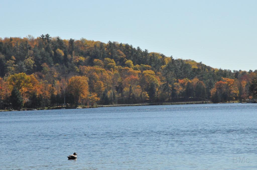 DSC_6395.JPG