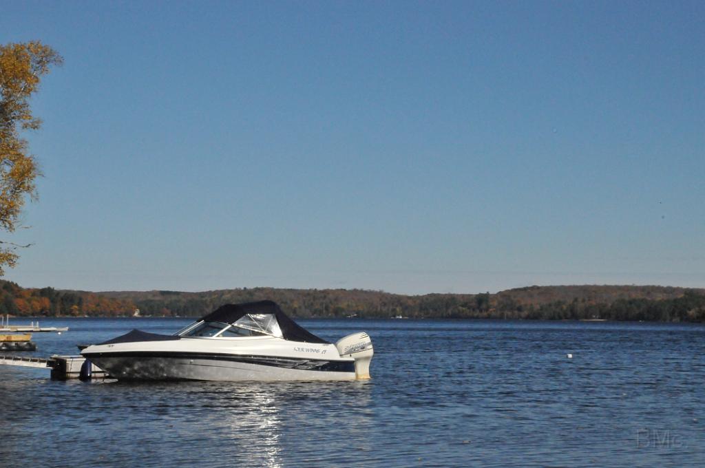 DSC_6404.JPG