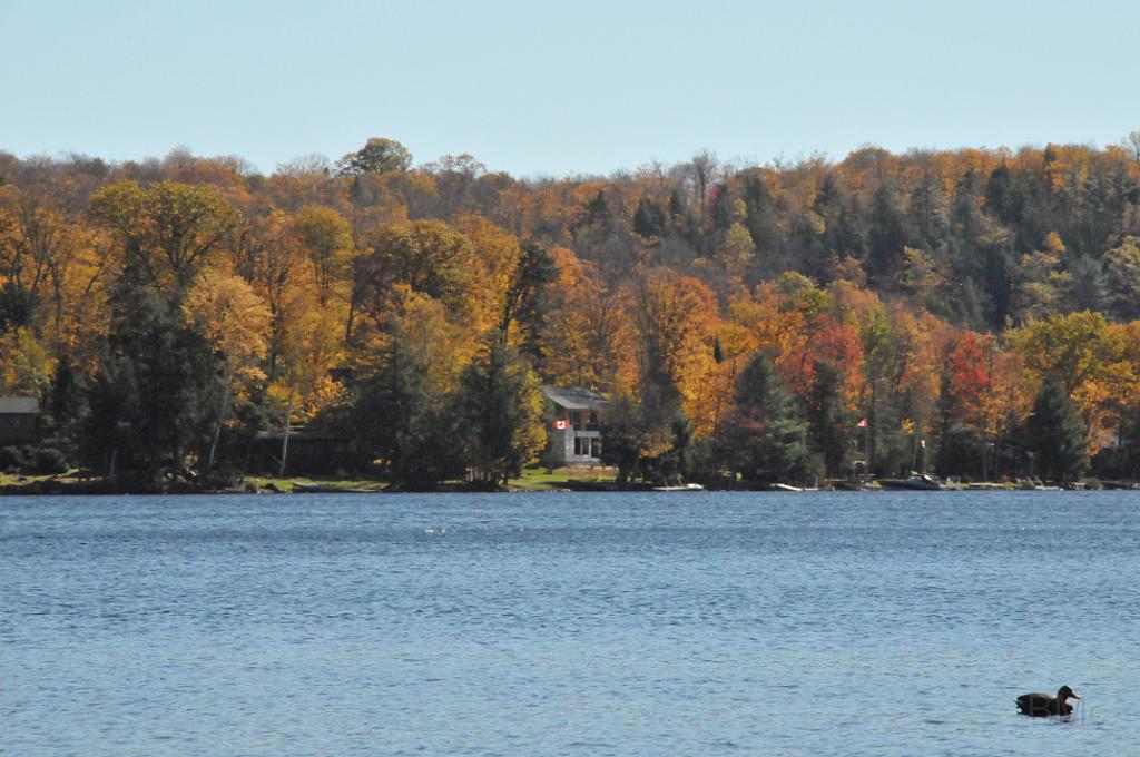 DSC_6412.JPG