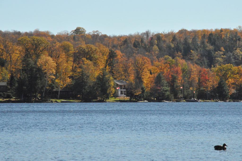 DSC_6413.JPG