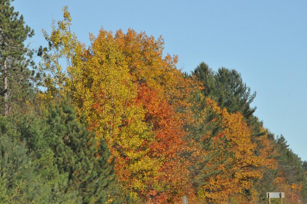 DSC_6414.JPG