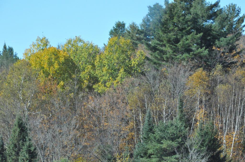 DSC_6425.JPG