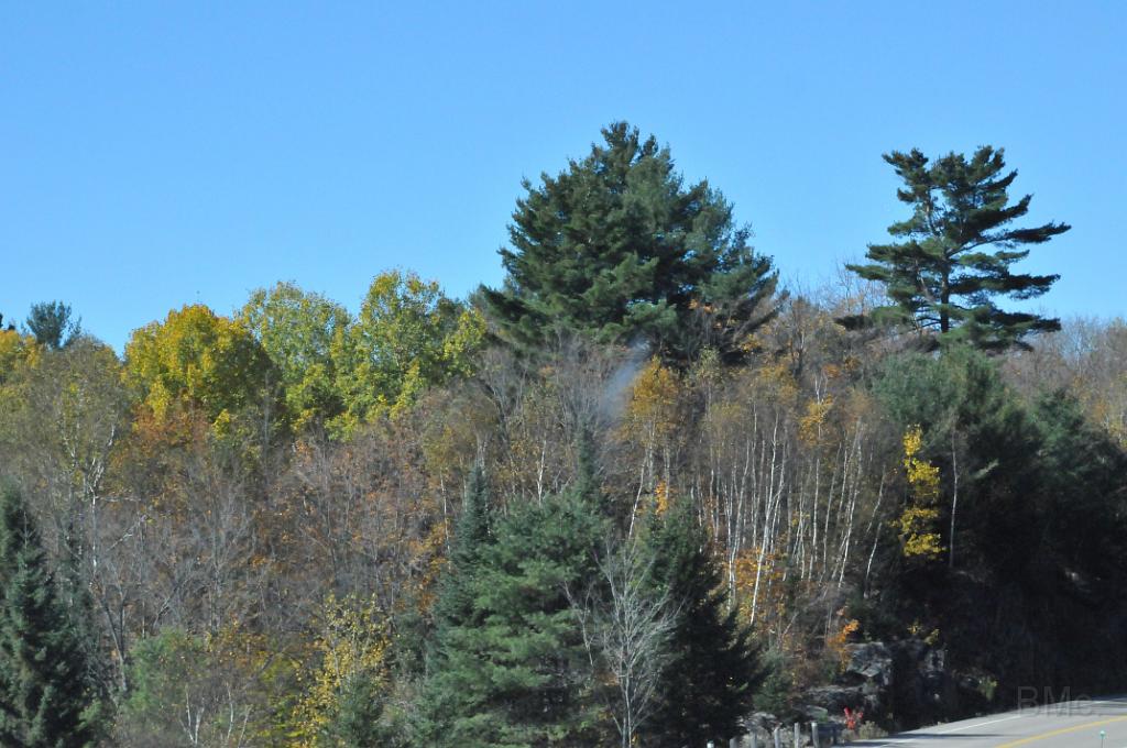 DSC_6426.JPG
