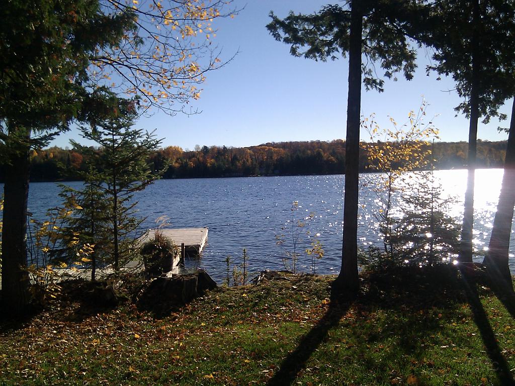 IMG_20101009_094349.jpg