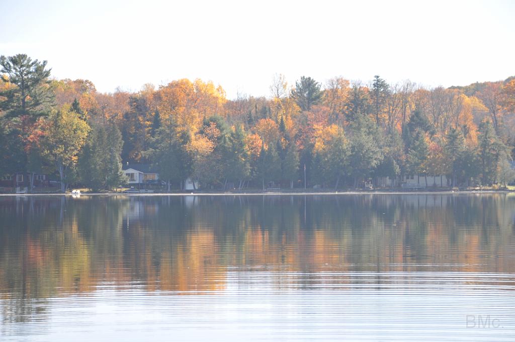 DSC_6487.JPG