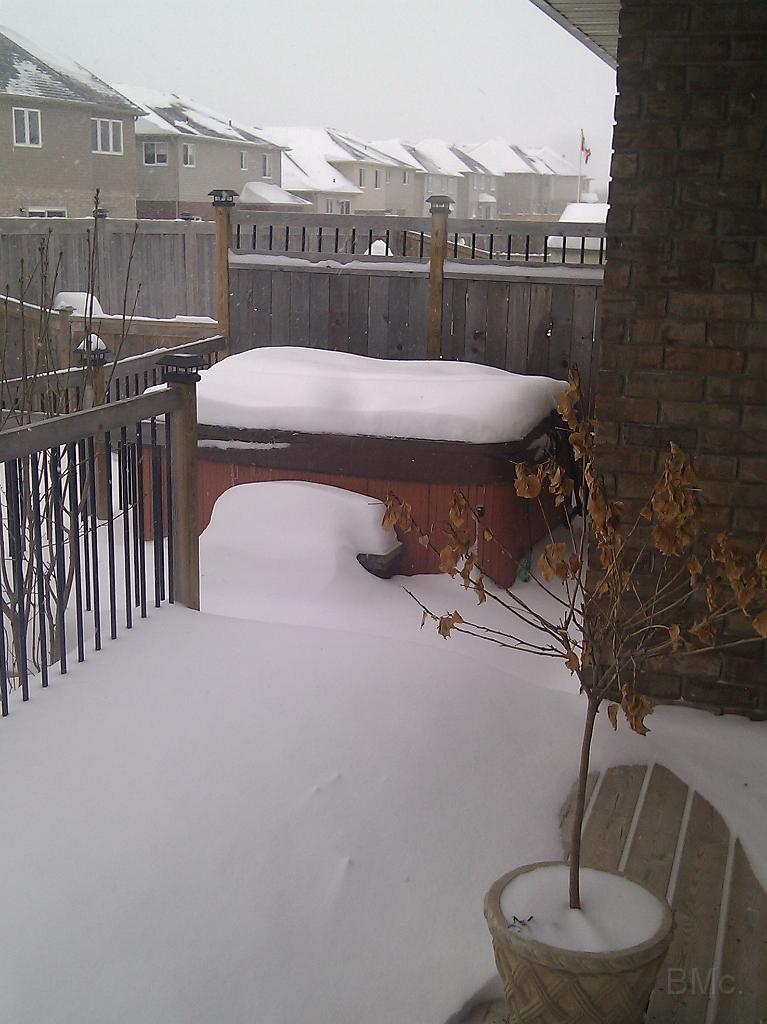 IMG_20101206_093751.jpg