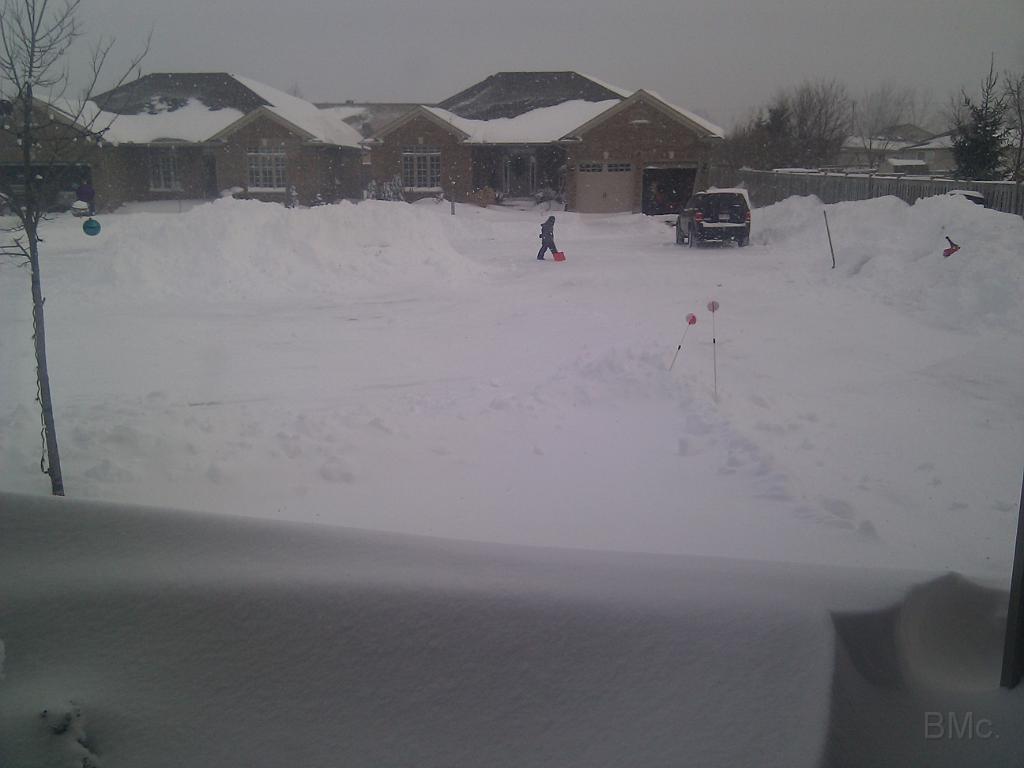 IMG_20101207_091647.jpg