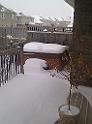 IMG_20101206_093751