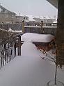 IMG_20101207_091621