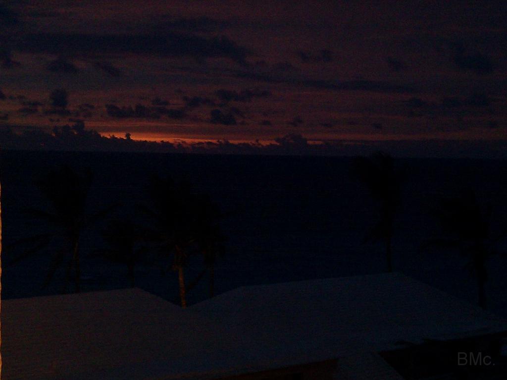 IMG_20101219_054948.jpg