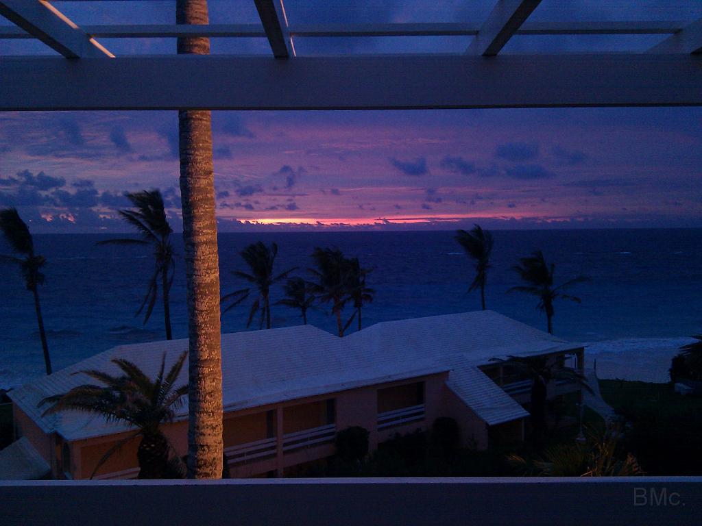 IMG_20101219_055645.jpg