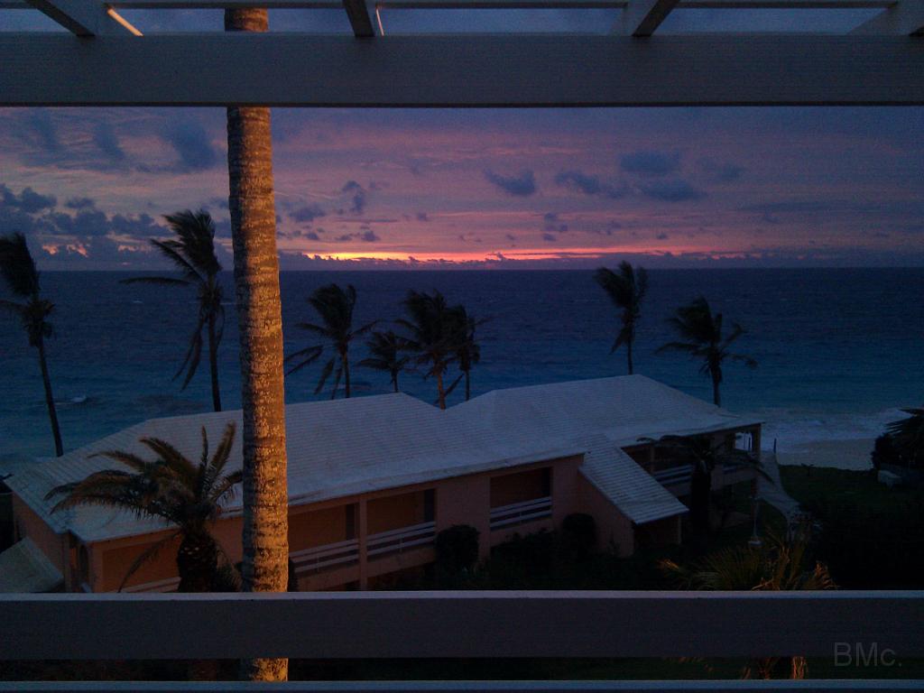 IMG_20101219_055701.jpg