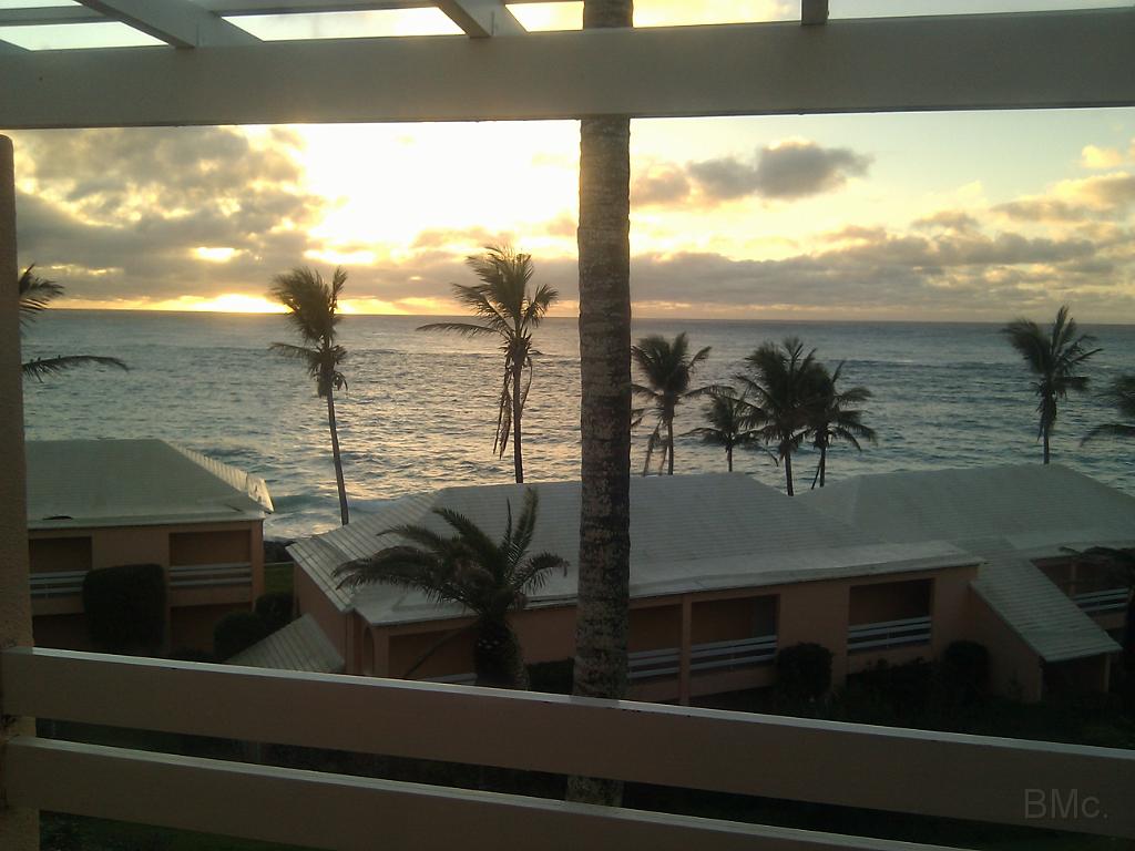 IMG_20101220_063407.jpg
