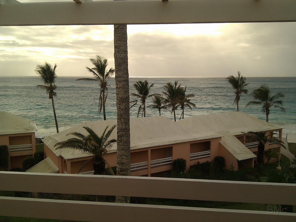 IMG_20101220_083505.jpg