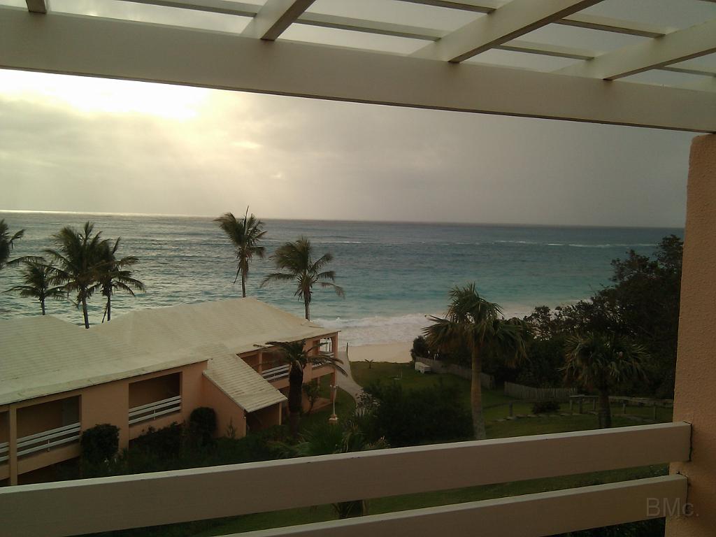 IMG_20101220_083515.jpg