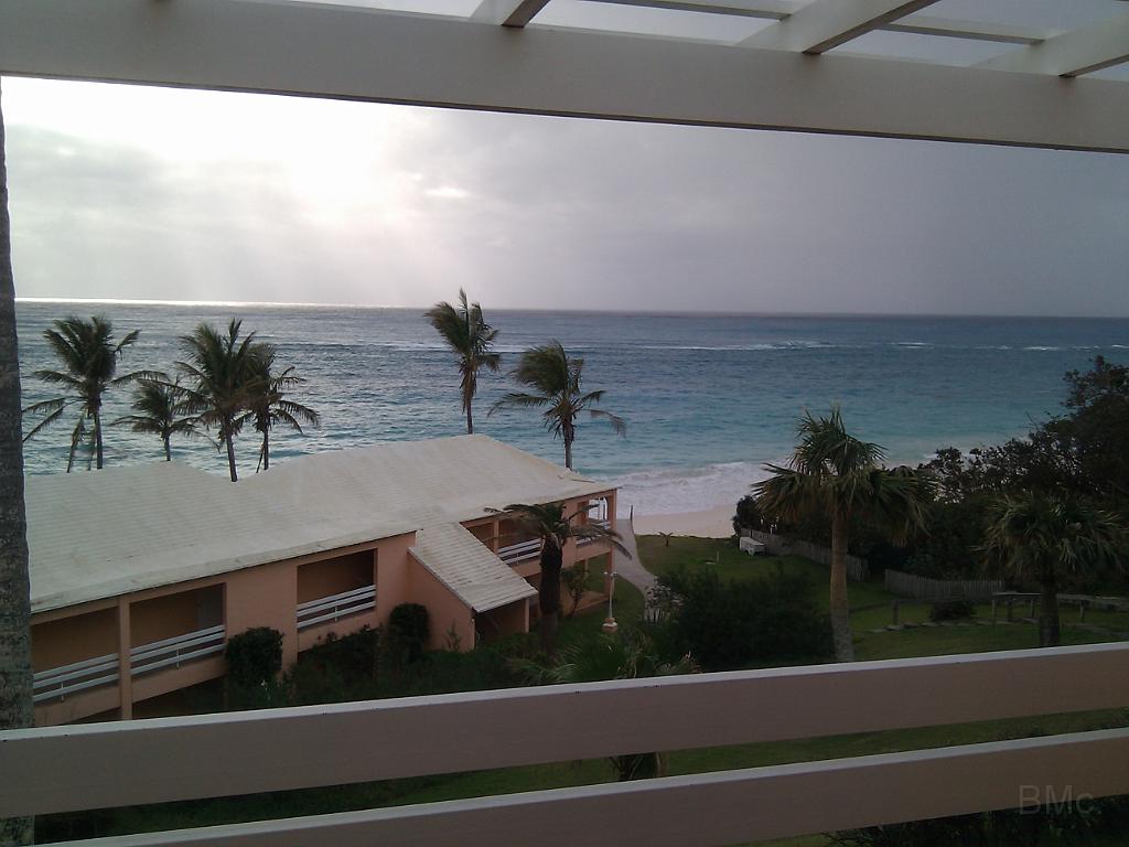 IMG_20101220_083544.jpg