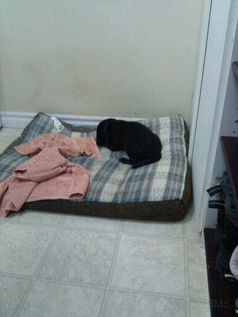 IMG_20101224_152046.jpg