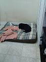 IMG_20101224_152046