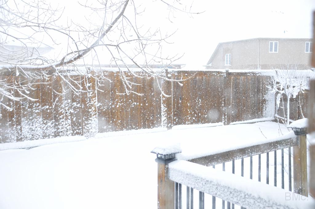 DSC_6916.JPG